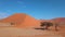 Aerial view of Dune 45, Sossusvlei Namibia