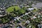 aerial view of Eaglehawk Play Space, Lake Neangar, Eaglehawk,