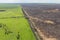 Aerial view of the effect of fire on pastoral and - one burnt paddock and one unburnt