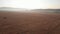 Aerial view of an empty golden field.