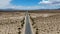 Aerial view of endless desert straight dusty asphalt road in Joshua Tree Park. USA.