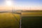 Aerial view of Eolian generators in a beautiful wheat field. Eolian turbine farm. Wind turbine silhouette. Wind mill turbines. Wi