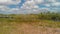 Aerial view of Everglades landscape, Florida