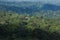 Aerial view evergreen forest in morning light. Scenery ancient tropical forest, shadow and mist. Green and lush in rainy season.