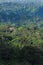 Aerial view evergreen forest in morning light. Scenery ancient tropical forest, shadow and mist. Green and lush in rainy season.