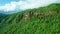 Aerial view of Face Rock on mountain in Taiwan