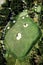 An aerial view of a fairway, green and sand bunkers on a golf course