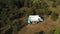 An aerial view of a family holiday near a motorhome in the woods . Travel concept