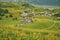 Aerial view of the famous and beautiful Daylily flower at sixty