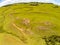 Aerial view of Farm field, rocks and trees