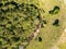 Aerial view of a farm field with a small Araucaria forest and river