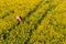 Aerial view of farmer examining blooming rapeseed field