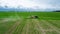 Aerial view, Farmer on a tractor with a sprayer makes fertilizer for young vegetables