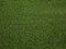 Aerial view. A farmer walks among a large green corn field and inspects it. Harvest concept