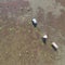 Aerial view of farmers working in rice field plantation.Asia farmers planting on the organic paddy rice farmland