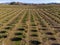 Aerial view at farming fields in Northern Oregon in winter.