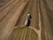 Aerial view of a farming tractor with a trailer fertilizes a freshly plowed agriculural field with manure