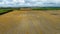 Aerial view of farmland fields of green and gold and some sheep grazing