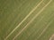 Aerial view of farmland and rows of crops. Taken from the air, looking down on a green field in summer. Rostov region.