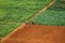 Aerial view of farmland for traditional agriculture with traditional farmers cultivating the land