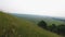 Aerial view of fascinating landscape of wide green slopes and trees, nature