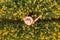 Aerial view of female farmer with tablet computer in rapeseed field using innovative technology