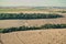 Aerial view of a field cultivated with soybeans among forest remnants in the western region of the state of ParanÃ¡, southern