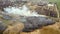 Aerial view of a field with dry grass set on fire with orange flames and high column of smoke.