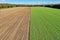 Aerial view of a field, half of which is uncultivated and covered with young green plants, strip of forest on the horizon,