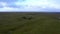 aerial view of field and meadow with herd of horses in Iceland