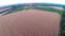 Aerial view of field wheat