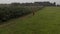 Aerial view of fields of corn