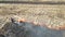 Aerial view of firemen extinguishing grassland field burning with red fire during dry season. Natural disaster and