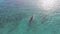 Aerial view of fishermen go out on sailboats to the ocean for fishing. Zanzibar.