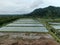 Aerial view of a fishery and prawn farm in Santubong area of Sarawak, Malaysia