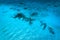 Aerial view of the fishing boats in transparent blue water