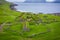 Aerial view of fishing village in Koltur island. Faroe Islands. Green roof houses. Photo made by drone from above. Nordic natural