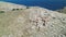 Aerial view of flock of sheep in stone desert