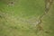 Aerial View Of Flock Of Sheeps In Mountains Of Georgia. Summer Green Pasture Landscape