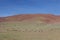 Aerial view of flock of Tibetan antelopes grazing in field