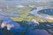 Aerial view flooded forest plains in summer.