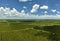 Aerial view of Florida farmlands with rows of orange grove trees growing on a sunny day