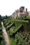 Aerial view of flower beds in a garden & architecture