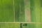 Aerial view from flying drone. Beautiful green area of young rice field or meadow in rainy season