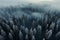 Aerial view of a fog draped, somber winter spruce forest landscape