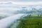 Aerial view of fog on the green tea plantation