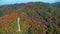 Aerial view of a forest in autumn