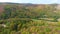 Aerial view of forest, autumn time