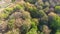 Aerial view of forest, autumn time