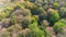 Aerial view of forest, autumn time